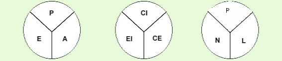 pnl cursos