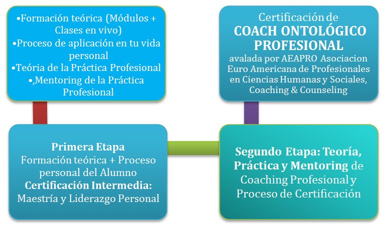 Estructura Modalidad C
