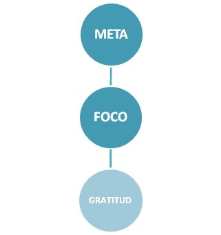 Meta Foco Gratitud